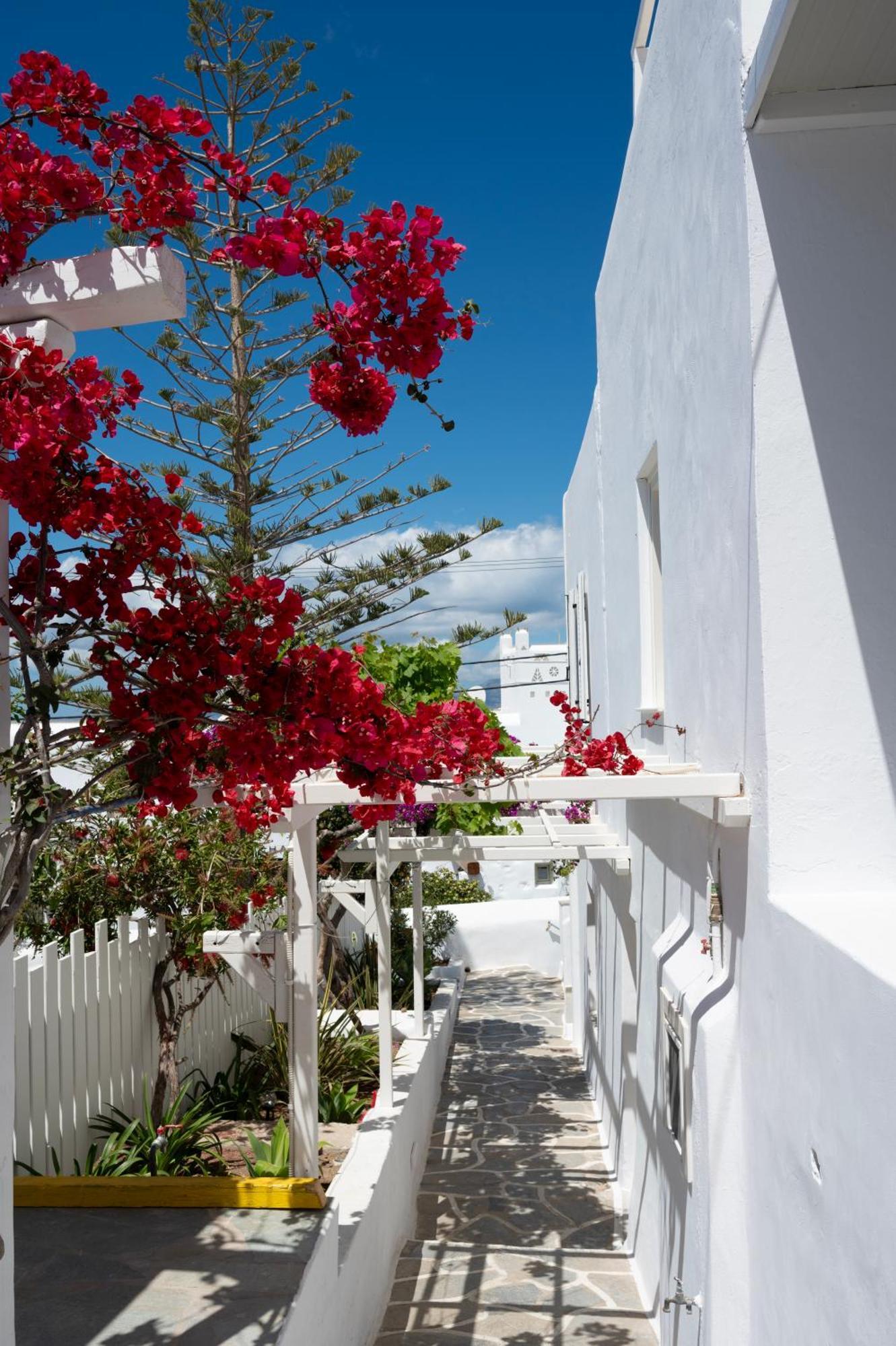 ホテル Boutique Di Vito Mykonos Town エクステリア 写真