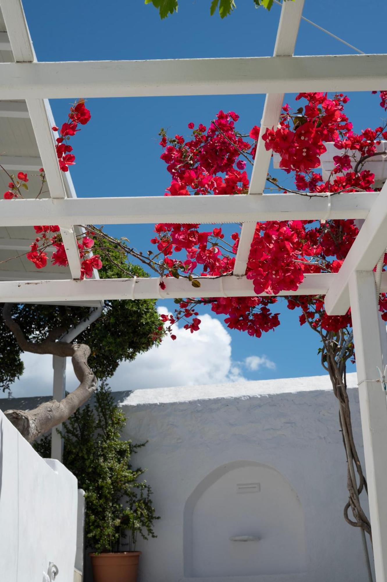 ホテル Boutique Di Vito Mykonos Town エクステリア 写真