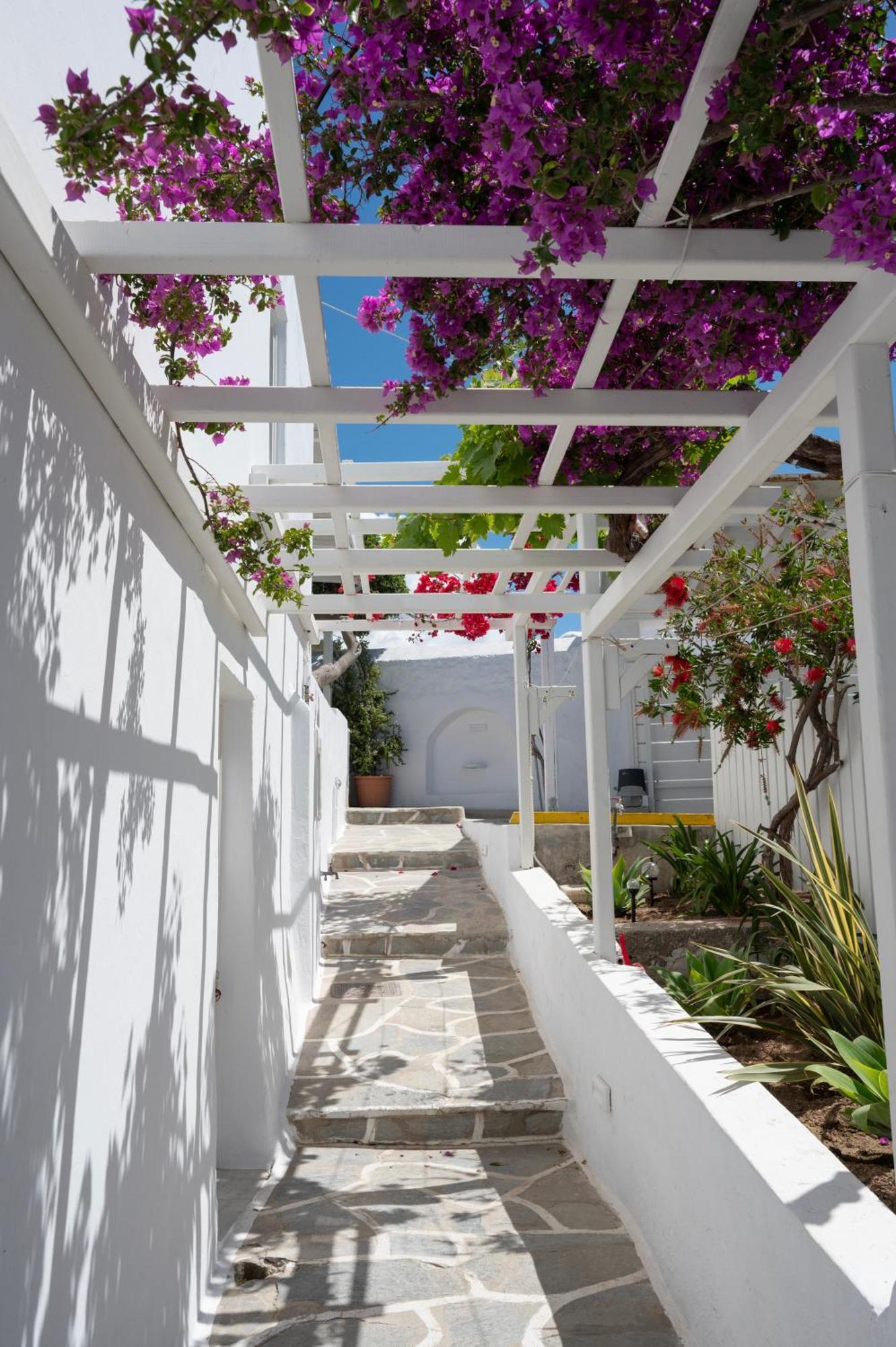ホテル Boutique Di Vito Mykonos Town エクステリア 写真
